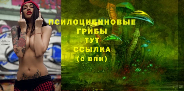 твердый Краснослободск