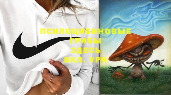 дживик Коряжма