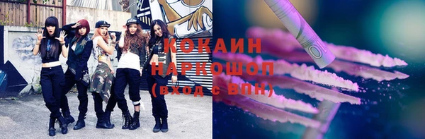 твердый Краснослободск