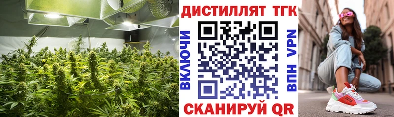 mega как зайти Каргат ТГК вейп с тгк
