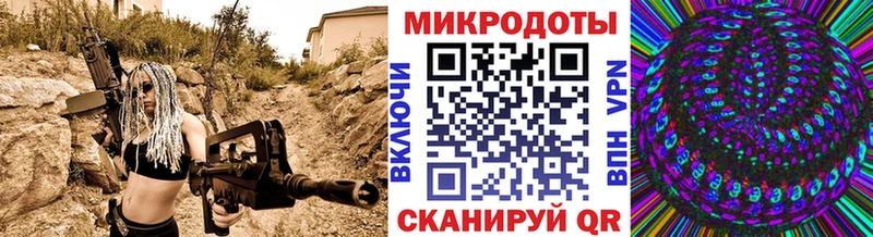 Псилоцибиновые грибы мицелий  Каргат 
