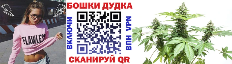 Канабис OG Kush  хочу   Каргат 
